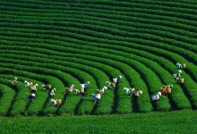 THAI NGUYEN TOUR 2 DAYS 1 NIGHT 